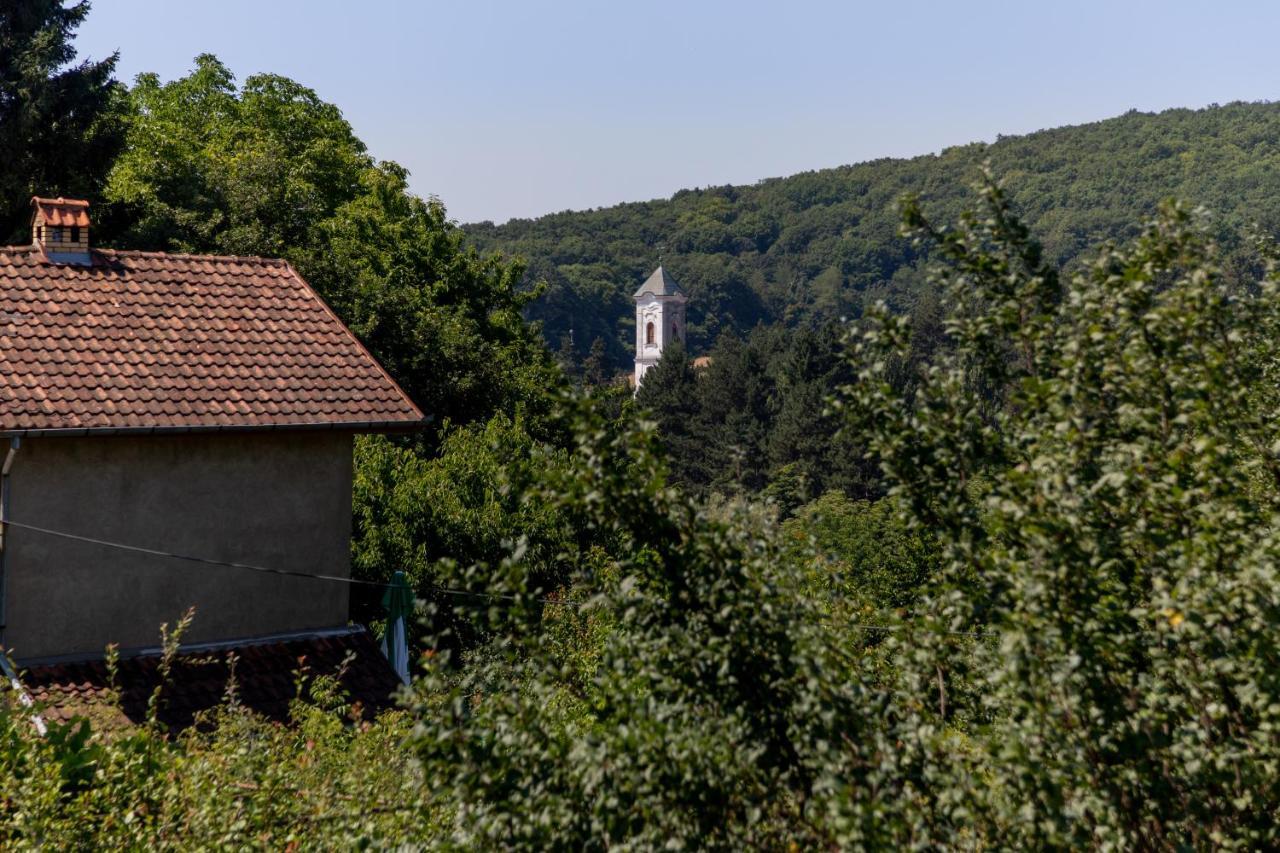 Vila Mi Casa 2 Vrdnik Exteriér fotografie